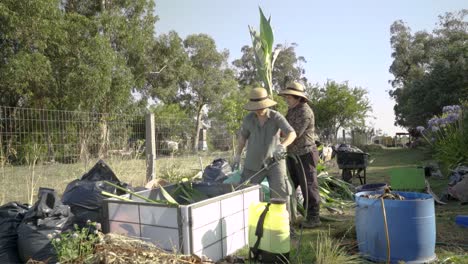 Two-women-prepare-a-compost-in-a-bin