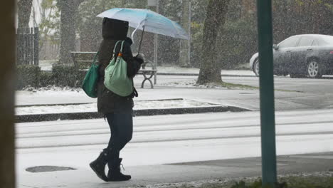 Toma-En-Cámara-Lenta-De-Una-Persona-Caminando-Por-La-Acera-Con-Un-Paraguas-En-La-Mano-Mientras-Cae-Nieve-Temprano-En-La-Mañana