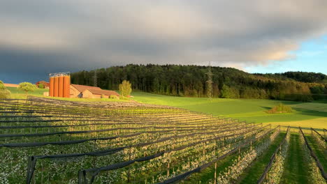 Granja-De-Manzanos-Durante-La-Puesta-De-Sol