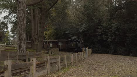 Historic-'Puffing-Billy'-steam-train-releasing-steam-at-Gembrook-Station