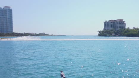 Fisher-Island---Ferry-Boat---Miami,-Florida
