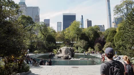 Die-Einrichtung-Der-Robben-Im-Central-Park-Zoo-An-Einem-Sonnigen-Tag