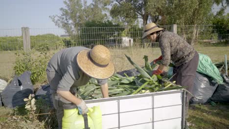 Two-peasant-women-add-leaves-to-a-compost-pile