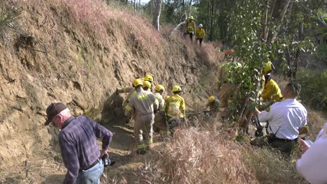 Los-Bomberos-Trabajaron-Para-Liberar-Al-Animal-Atrapado.