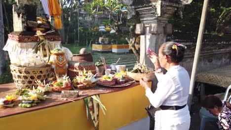 Old-Woman-Priestess-Prays-Outdoors-in-Hindu-Balinese-Temple-Bali-Indonesia-with-Flower-Colorful-Offerings-and-Sage