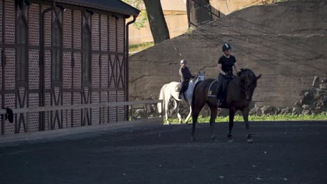 Horse-riding-lesson.-Horse-riding-lesson