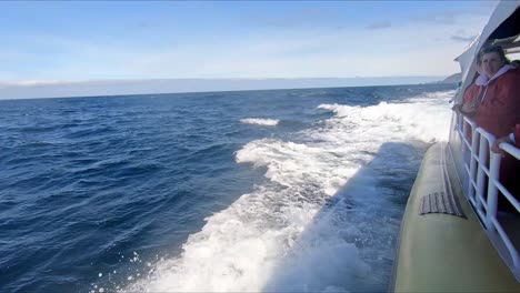 Bruny-Island,-Tasmania,-Australia---15-March-2019:-Passengers-on-a-fast-tourist-boat-off-Bruny-Island-looking-at-dolphins-swimming-and-jumping-alongside-the-boat