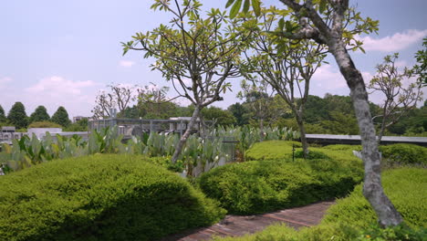 Rooftop-garden-on-top-of-Greenwich-V-Mall-in-Singapore