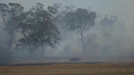 Ein-Riesiger-Grasbrand-Zwischen-Hohen-Bäumen,-Im-Vergleich-Dazu-Sieht-Ein-Feuerwehrauto-Winzig-Aus