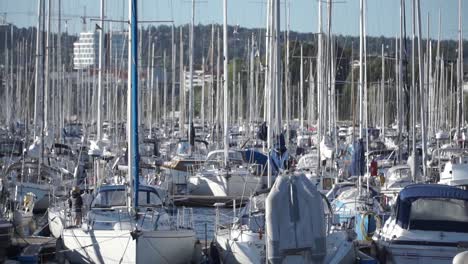 Lost-of-yachts-in-oslo-pier