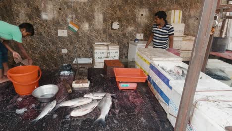 Niño-Indio-Escalando-Pescado-Y-Ayudando-A-Los-Adultos-A-Transportar-Cajas-De-Poliestireno-Con-Pescado-Fresco-En-El-Mercado-De-Pescado-De-Bristol-En-La-India