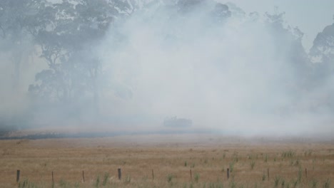 Camión-De-Bomberos-En-Humo-Espeso-Cerca-De-árboles-Altos-En-El-Borde-De-Un-Enorme-Incendio-De-Hierba-En-Australia