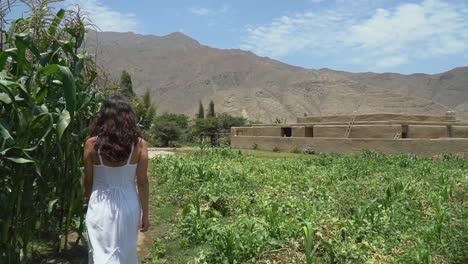 Girl-Walking-Peacefully-Beside-Green-Leaves-In-Agriculture-Farm,-Chancay,-Lima