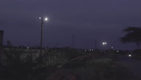 Swarm-Of-Alate-Insects-Flying-Around-Street-Lamps-In-India-At-Night---wide-shot