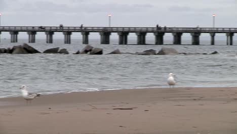 Pat-Auletta-Steeplechase-Pier-Vom-Strand-Von-Coney-Island-Aus-Gesehen