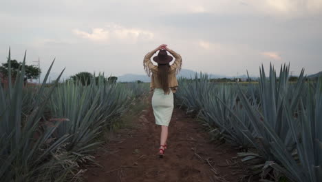 Vista-Posterior-De-Una-Mujer-Joven-Y-Atractiva-Con-Los-Brazos-Levantados-Caminando-Por-Campos-De-Piñas-De-Tequila-En-México---Tiro-De-Seguimiento-En-Cámara-Lenta