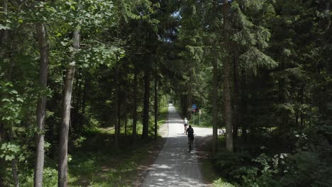 Drone-forward-flying-through-old-repurposed-railway-bridge-turned-into-pedestrian-bike-road-path