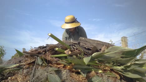 Woman-farmer-making-a-compost-pile-in-a-farm,-low-angle-shot