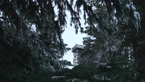 Plano-Panorámico-De-Una-Torre-De-Observación-En-Un-Bosque-Alpino-Nevado