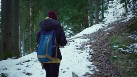 Wanderin-Wandert-Mit-Rucksack-Den-Verschneiten-Pinienwaldberg-Hinauf