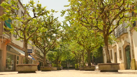 Árboles-En-El-Centro-De-La-Ciudad-Con-Tiendas-Y-Boutiques-Locales-En-Un-Día-Soleado-En-Braga,-Portugal