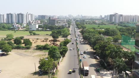 Toma-Aérea-De-Un-Dron-Con-Cámara-De-Dron-Avanzando-Donde-Se-Ven-Muchas-Vacas-Comiendo-Pasto-Rodeadas-De-árboles-Altos-Y-Muchos-Vehículos-Conduciendo-Por-La-Carretera.