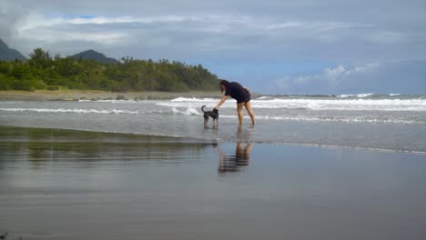 Frau-Lobt,-Indem-Sie-Hund-Am-Strand-Streichelt,-Mit-Wellen,-Bäumen-Und-Himmel-Im-Hintergrund,-Gefilmt-Als-Eröffnungsaufnahme-Im-Handheld-Stil