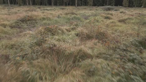 Low-aerial-flying-among-the-grass-with-part-of-the-woodland-revealed