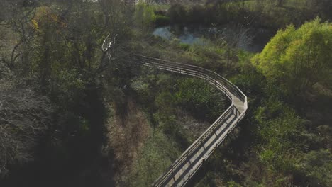 Una-Vista-Aérea-De-Arriba-Hacia-Abajo-Del-Paseo-Marítimo-A-Través-De-Los-Humedales-De-Uhcl-Que-Conducen-A-Horsepen-Bayou-En-Clear-Lake,-Houston,-Texas.