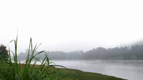 Hermosa-Toma-Del-Paisaje-Del-Embalse-De-Cachamuiña-En-Un-Día-Nublado-Y-Frío,-Con-Niebla-Y-El-Pasto-Lleno-De-Rocío