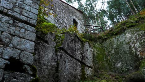 Gray-brick-walls-with-green-slat-of-an-old-construction-with-tall-trees-in-the-middle-of-nature