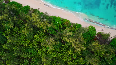 Top-down-aerial-drone-shot-of-tropical-beach