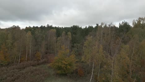 Slow-aerial-shot-flying-across-an-open-field-toward-a-tense-woodland