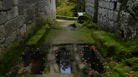 Panorámica-Sutil-Del-Pasillo-De-Una-Antigua-Estructura-Arquitectónica-Con-Suelo-Verde-Viscoso-Y-Charcos-De-Agua-Estancada-Con-Hojas-Secas