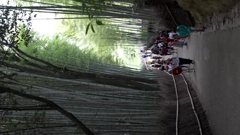 Turistas-Caminando-Por-Un-Sendero-Bordeado-De-árboles-De-Bambú-En-Arashiyama.