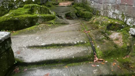 Gehweg-Mit-Treppen-In-Einer-Alten-Architektonischen-Struktur-Mit-Einem-Schleimigen-Grünen-Boden,-Umgeben-Von-Bäumen-Und-Natur