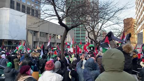 Menschen,-Die-Sich-In-Der-Stadt-Für-Die-Unterstützung-Palästinas-Einsetzen