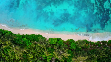 Top-down-aerial-drone-shot-of-tropical-beach