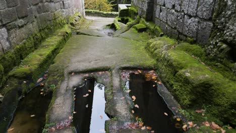 Korridor-Einer-Alten-Architektonischen-Struktur-Mit-Grünem,-Schleimigem-Boden-Und-Pfützen-Aus-Stehendem-Wasser-Mit-Trockenen-Blättern