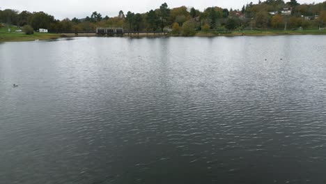 Beautiful-aerial-drone-shot-of-the-landscape-of-the-Cachamuiña-reservoir-with-ducks-on-a-cloudy-day-surrounded-by-trees