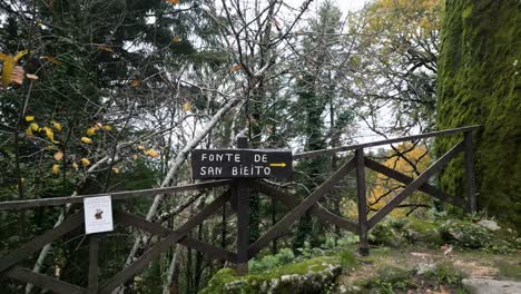 Nice-wooden-sign-that-points-the-way-forward,-surrounded-by-a-wooden-railing,-large-trees-and-nature