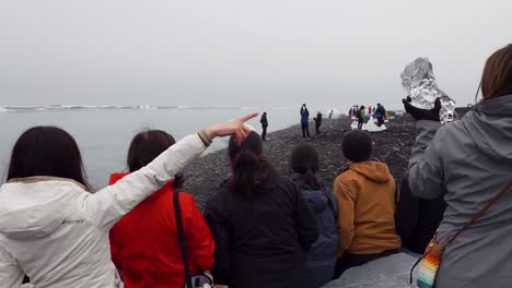 Gruppe-Von-Touristen-Posiert-Zwischen-Schmelzenden-Eisfelsen-Am-Diamond-Beach-In-Island---Konzept-Des-Klimawandels,-Des-Anstiegs-Des-Meeresspiegels,-Der-Heuchelei