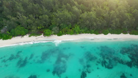 Luftdrohnenaufnahme-Von-Oben-Nach-Unten-Eines-Tropischen-Strandes