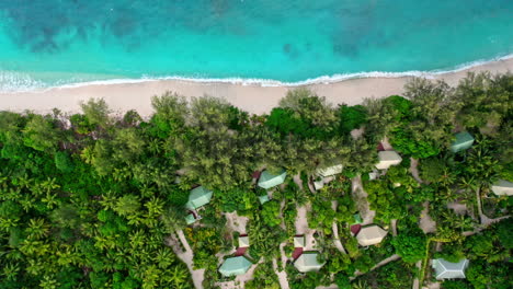 Top-down-aerial-drone-shot-of-tropical-beach