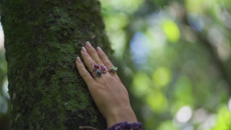 Mano-Femenina-Con-Anillos-Y-Pulseras,-Acariciando-Un-árbol-En-Medio-Del-Bosque-Y-La-Naturaleza