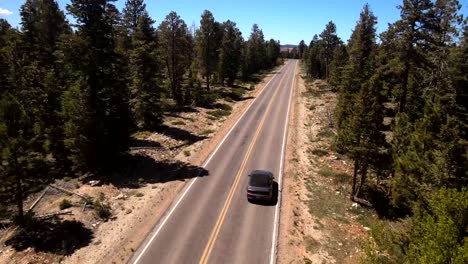 Aéreo,-Cinematográfico,-Drone,-Modo-De-Seguimiento-De-Los-Hots-De-Un-Mustang-Viajando-Por-La-Carretera