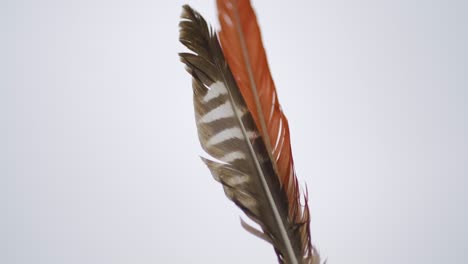 Mujer-Haciendo-Un-Ritual-Con-Una-Pluma-En-La-Mano-Dirigiéndola-Hacia-El-Cielo-Con-Energía-Espiritual-Y-Religiosa-Mística