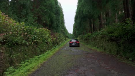 Siguiente-Toma-De-Un-Automóvil-Conduciendo-Por-Forrest-En-La-Isla-De-Azores,-Portugal,-Aéreo