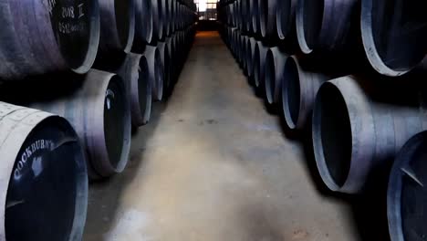 Narrow-pathway-between-lines-of-wine-barrels,-tilt-up-view