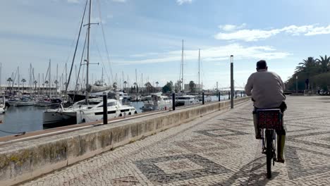 Magia-De-Lagos-Marina:-Un-Viaje-Por-El-Paseo-Marítimo